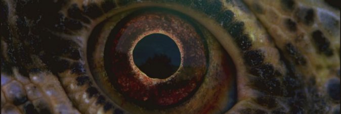 Voyage of Time