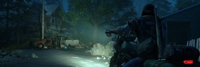 Days Gone