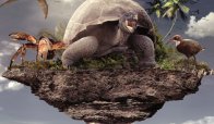 L'isola che non c'� esiste davvero