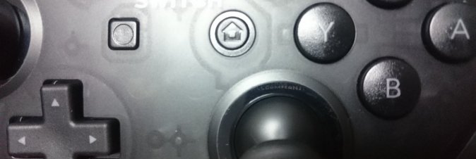 Lo Switch Pro Controller contiene un messaggio segreto