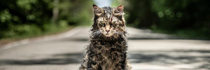 Pet Sematary