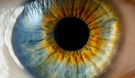 Arriva Track AI e rileva i disturbi visivi nei bambini