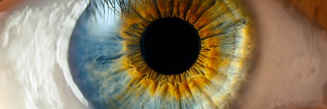 Arriva Track AI e rileva i disturbi visivi nei bambini