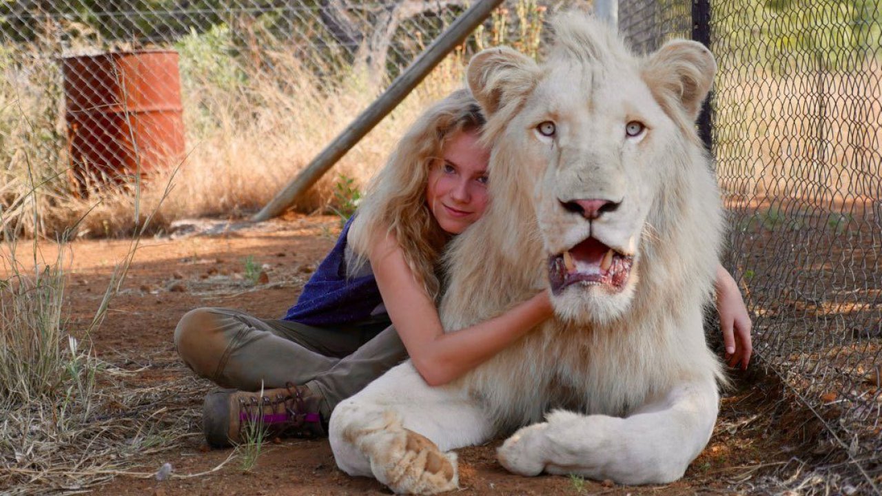 Film Mia E Il Leone Bianco Cast