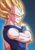 L'avatar di Vegeta_the_best