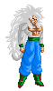 L'avatar di Goku S.S.5