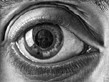 L'avatar di Thicondrius