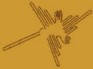 L'avatar di kolibry