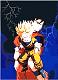 Avatar di son_gohan