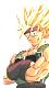 Avatar di bardock95