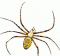 Avatar di MarkSpiders