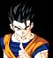 Avatar di Shippo-Gohan