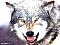 Avatar di killboy82