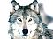 Avatar di COLD WOLF