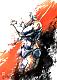 Avatar di linkinfan