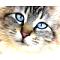 Avatar di Tittina