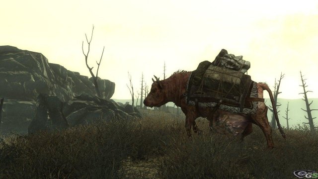 Fallout 3 - Immagine 6271