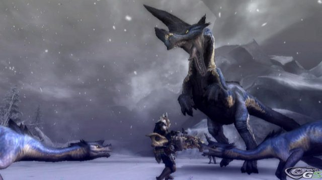 Monster Hunter 3 immagine 25793
