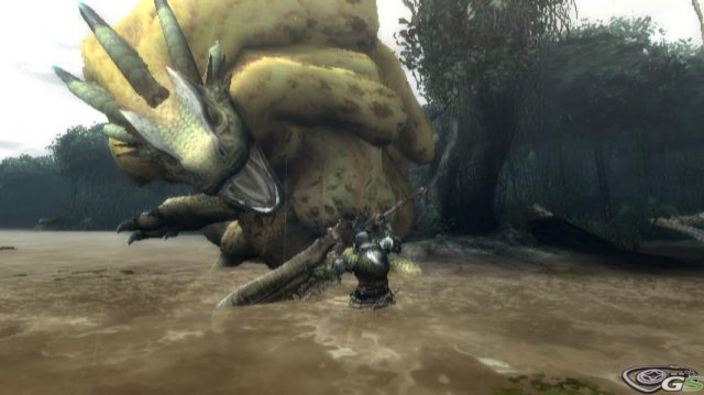 Monster Hunter 3 immagine 25800