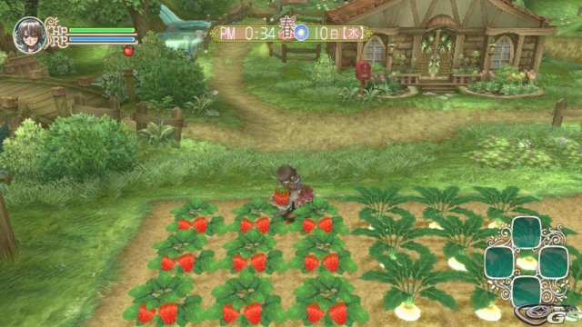 Rune Factory Frontier immagine 23788