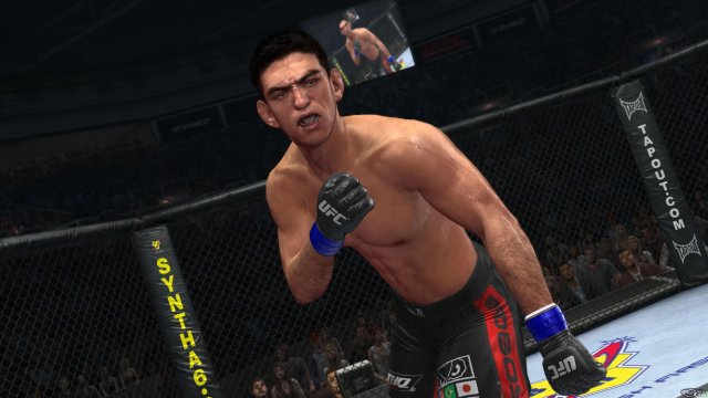 UFC 2010 Undisputed - Immagine 24121