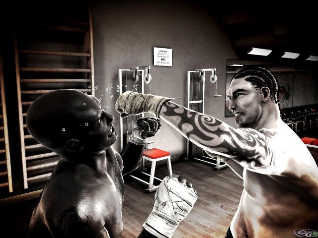 Motion Fighters immagine 24878