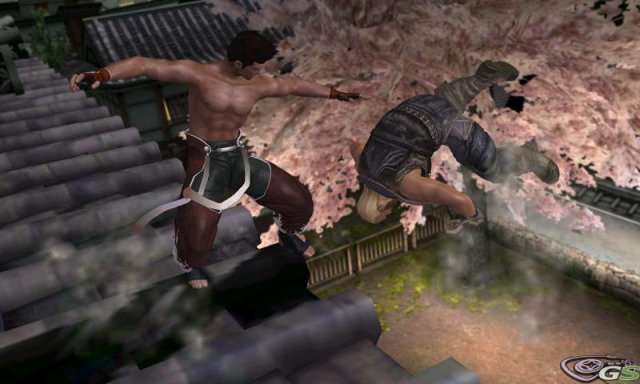 Dead or Alive: Dimensions - Immagine 35622