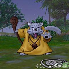 Dragon Quest X - Immagine 49079