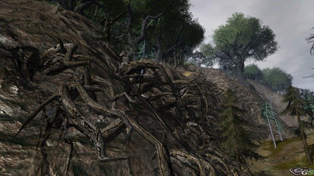 Lord of the Rings Online: Shadows of Angmar - Immagine 55754