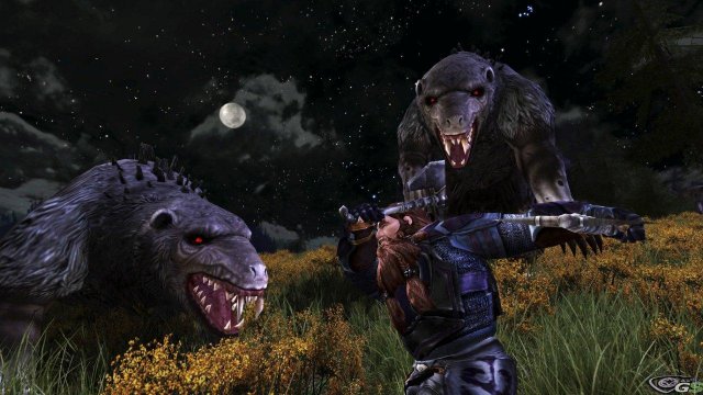 Lord of the Rings Online: Shadows of Angmar - Immagine 65836