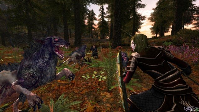 Lord of the Rings Online: Shadows of Angmar - Immagine 65838