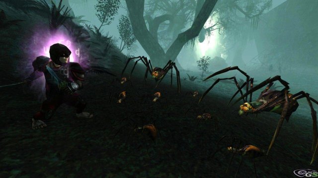 Lord of the Rings Online: Shadows of Angmar - Immagine 65844