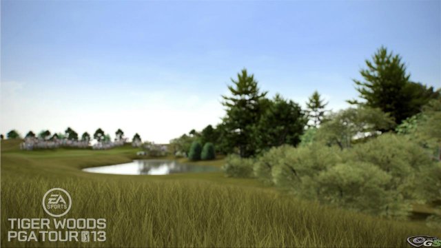 Tiger Woods PGA Tour 2013 immagine 53442