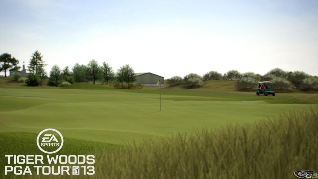 Tiger Woods PGA Tour 2013 immagine 53450