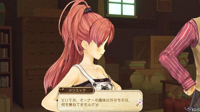 Atelier Ayesha: The Alchemist of Dusk - Immagine 59835