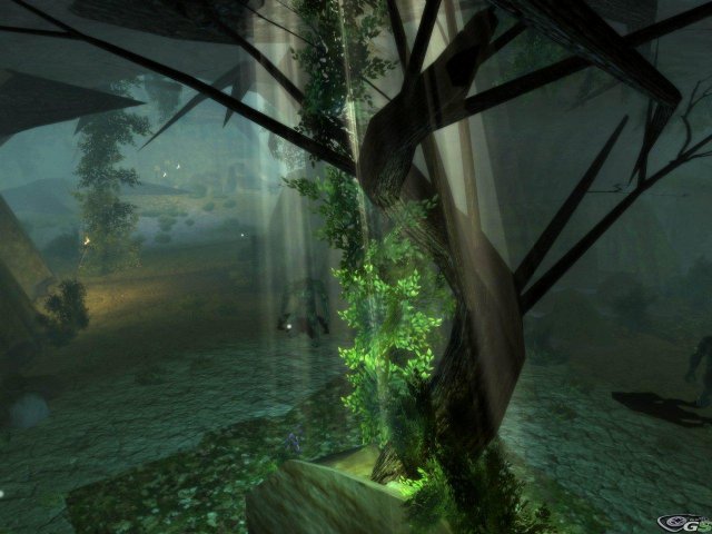 Dungeons & Dragons Online - Immagine 56983
