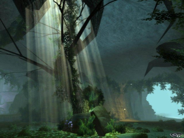 Dungeons & Dragons Online - Immagine 56984