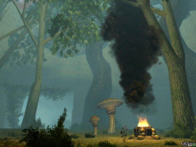 Dungeons & Dragons Online - Immagine 56985