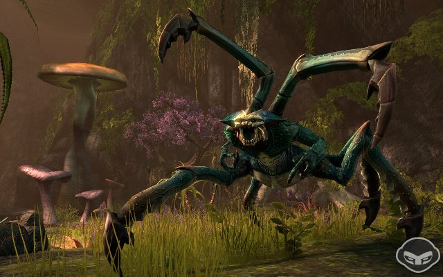 The Elder Scrolls Online - Immagine 68033