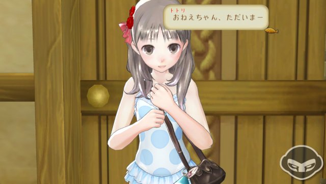 Atelier Totori Plus immagine 68374