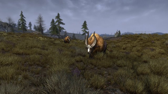 Lord of the Rings Online: Shadows of Angmar - Immagine 80260