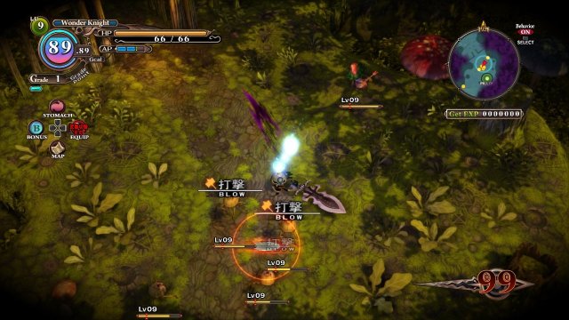 The Witch and The Hundred Knight - Immagine 81820