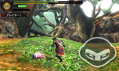 Monster Hunter 4 - Immagine 78147