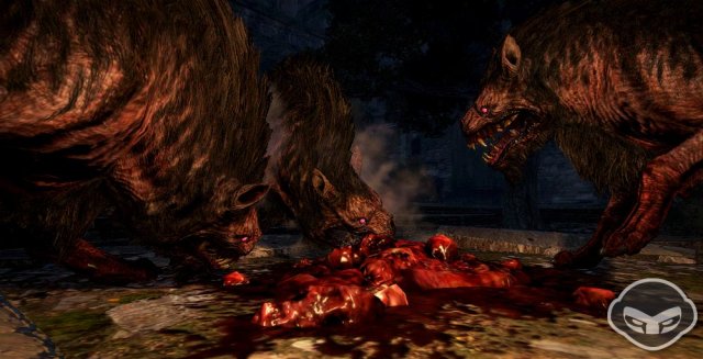 Dragon's Dogma: Dark Arisen - Immagine 72543