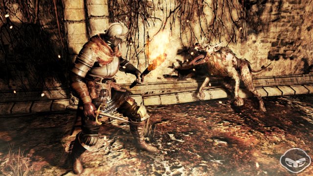 Dark Souls II - Immagine 78088