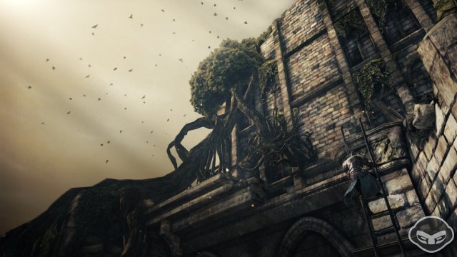 Dark Souls II - Immagine 78092