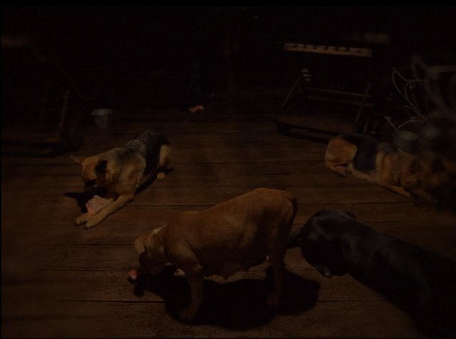 Post Tenebras Lux - Immagine 80289