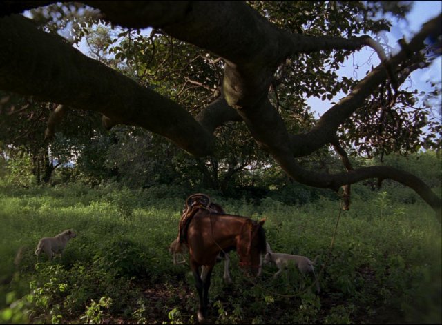 Post Tenebras Lux - Immagine 80290