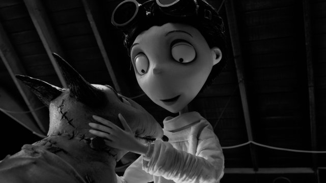 Frankenweenie immagine 81946