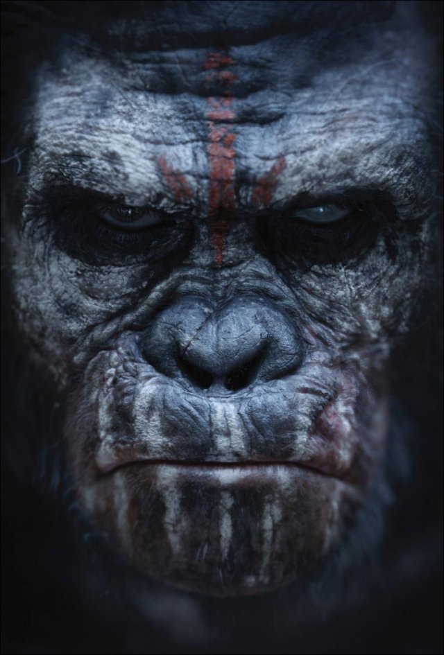 Apes Revolution: Il Pianeta delle Scimmie - Immagine 99802